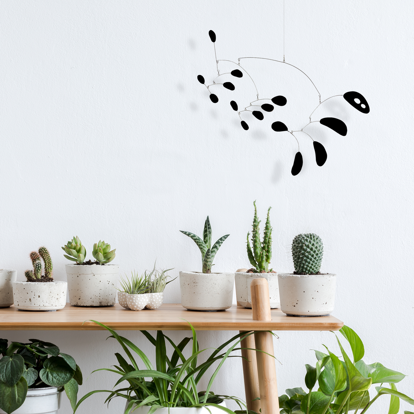 HipCat kinetic art mobile in black with succulents and cactus plants by AtomicMobiles.com