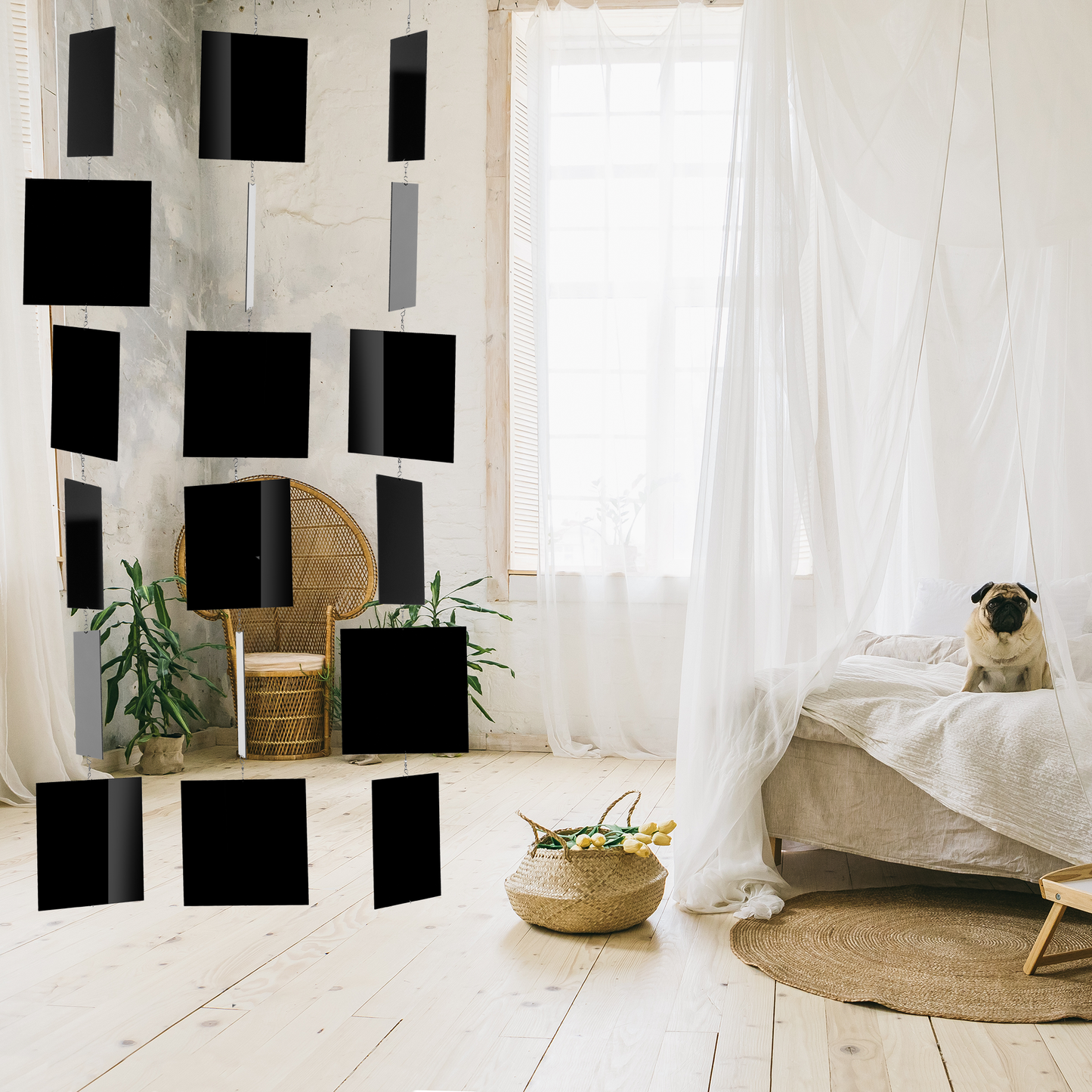 MODcast room divider in bedroom with cute pug and peacock chair - hanging black room divider panels by AtomicMobiles.com