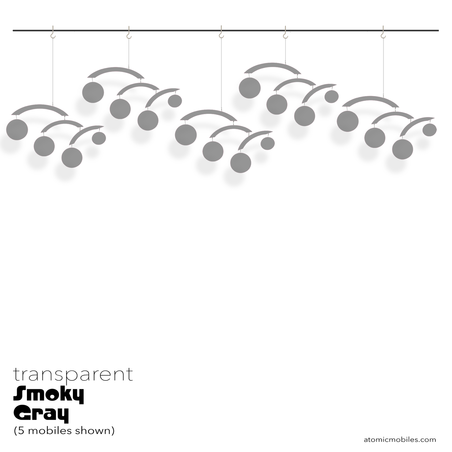 The Modernist JetSetter XL | Transparent