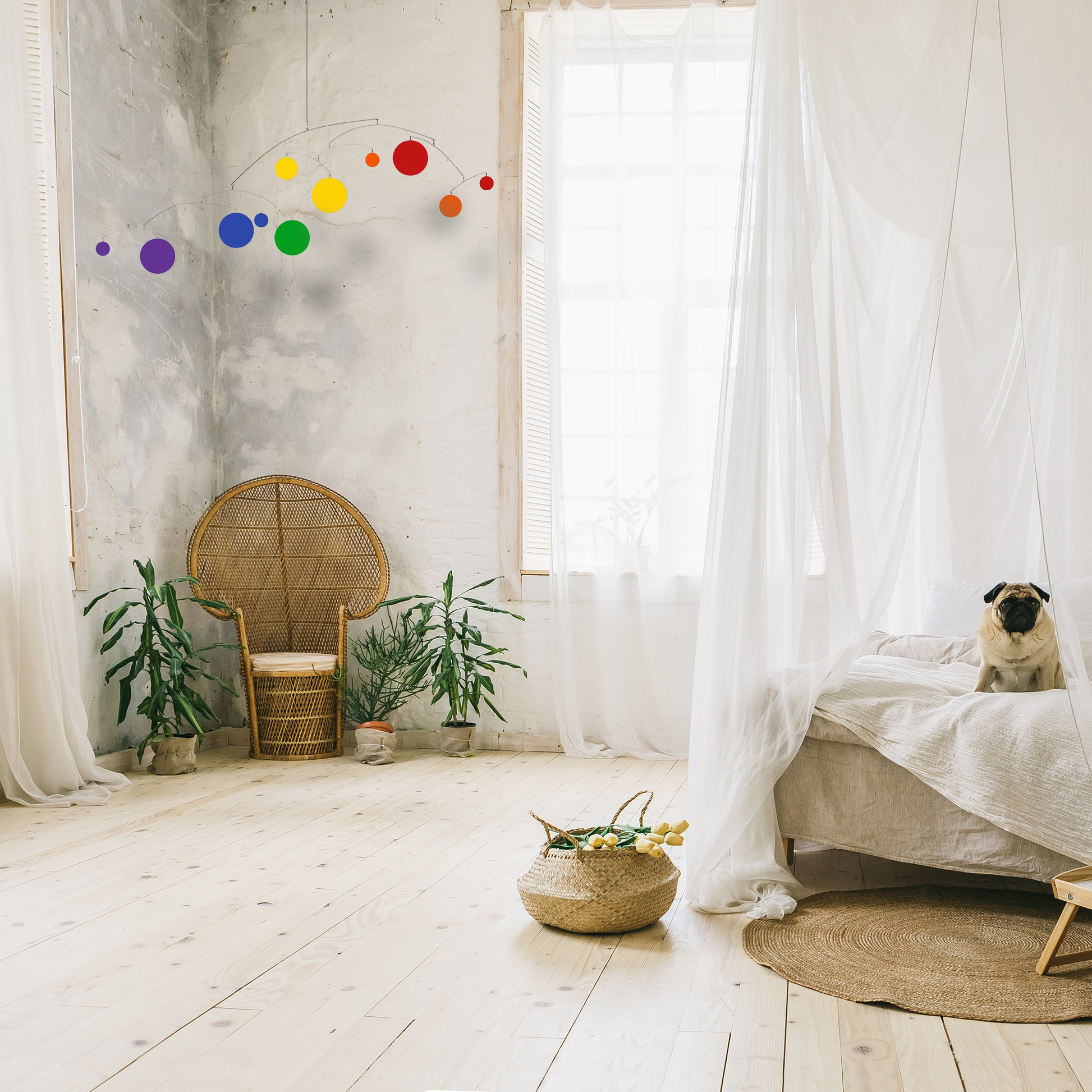 ELATION Rainbow LGBTQ+ Pride Art Mobile in bedroom with peacock chair, plants, frilly bed with white netting, wood plank floor, and adorable pug dog sitting on the bed. Kinetic art mobile by AtomicMobiles.com